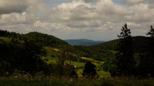 DSC5242